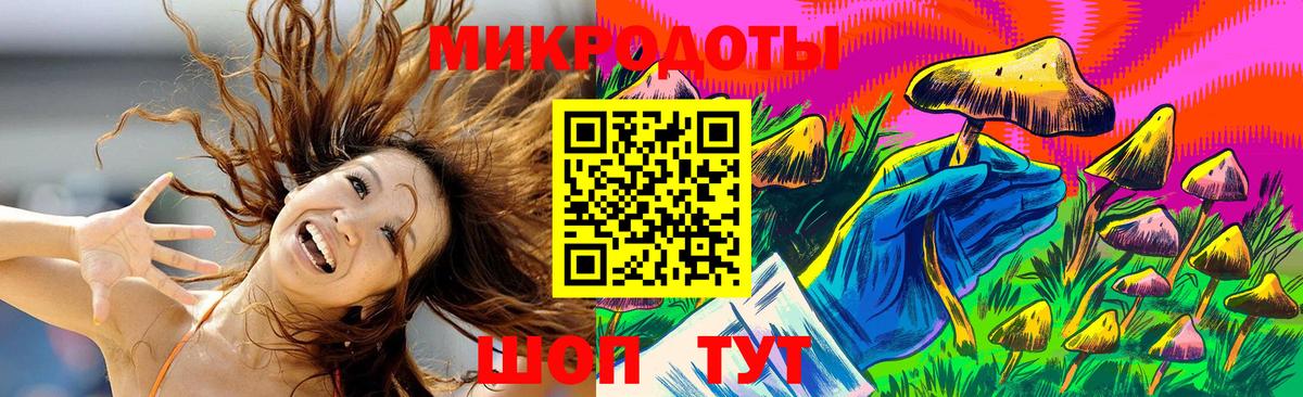 Псилоцибиновые грибы Magic Shrooms  Вход с VPN  Заволжье  Галлюциногенные грибы Psilocybe 